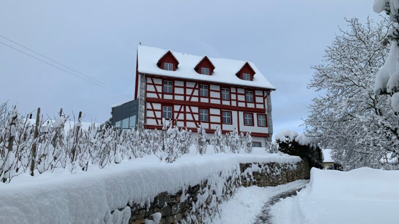 Schloss Thayngen - Panoramablick auf das historische Gebäude